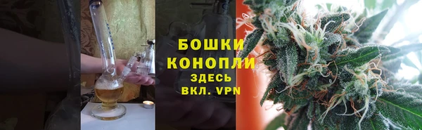 крисы Гусиноозёрск