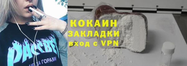 шишки Абаза