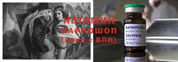 шишки Абаза
