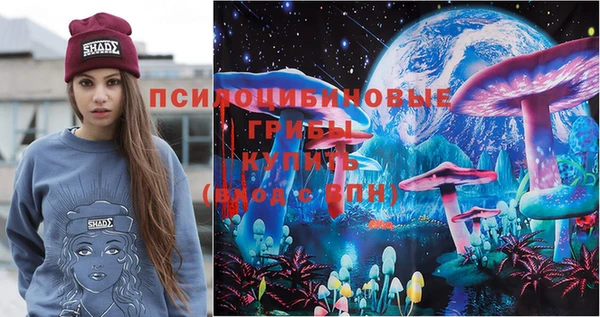 шишки Алзамай